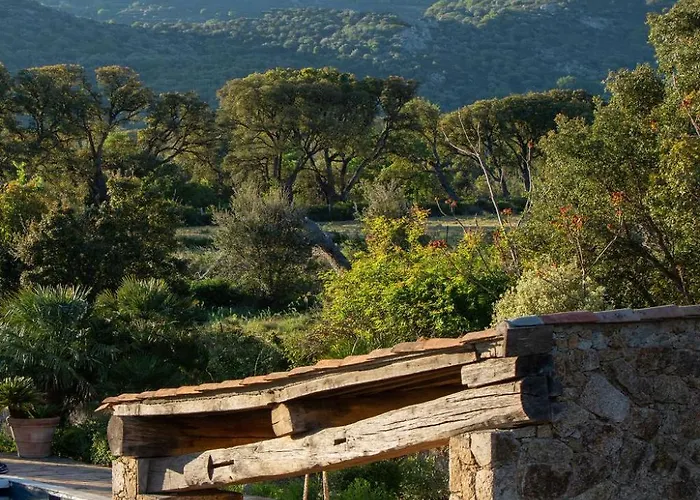 Domaine Du Reginu