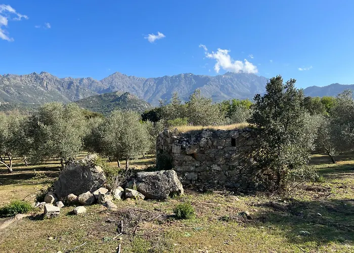 호텔 Domaine Du Reginu Santa-Reparata-di-Balagna