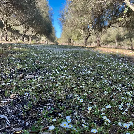 Otel Domaine Du Reginu 4*