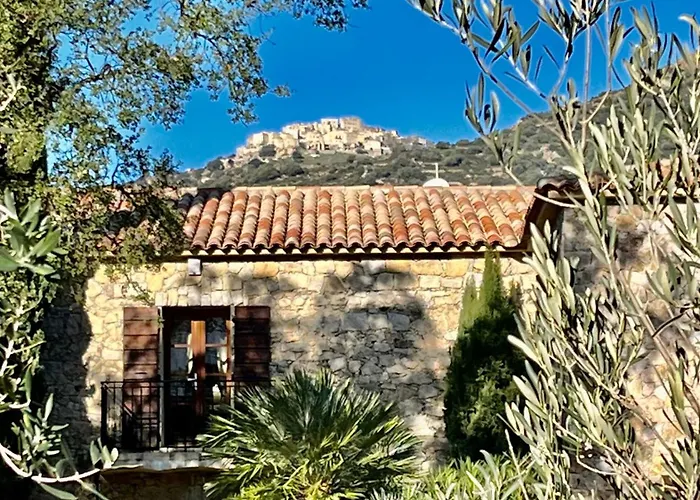 Domaine Du Reginu 4*