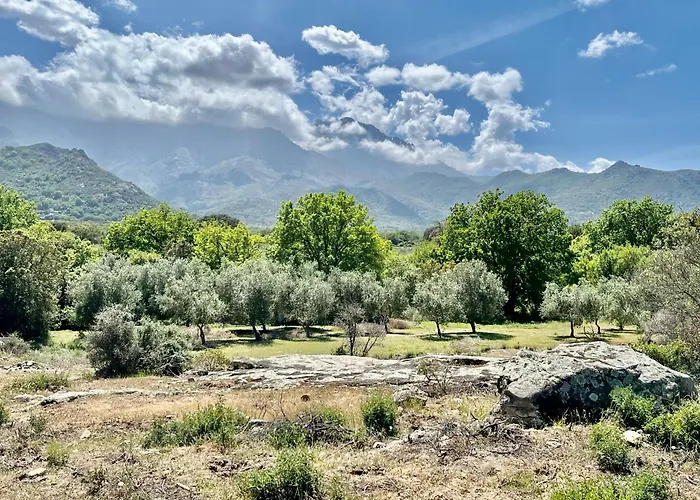 Hotel Domaine Du Reginu 4*