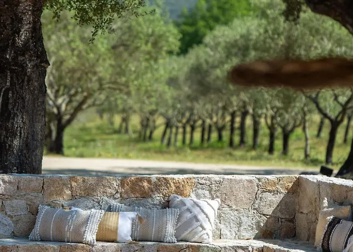 Hotel Domaine Du Reginu 4*