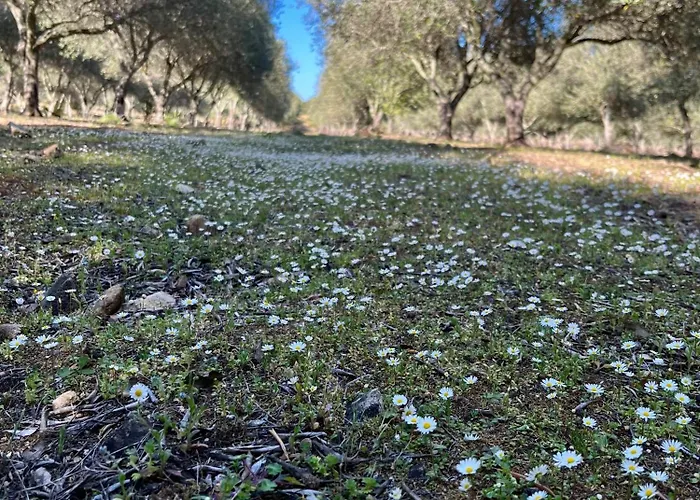 Hotel Domaine Du Reginu 4*