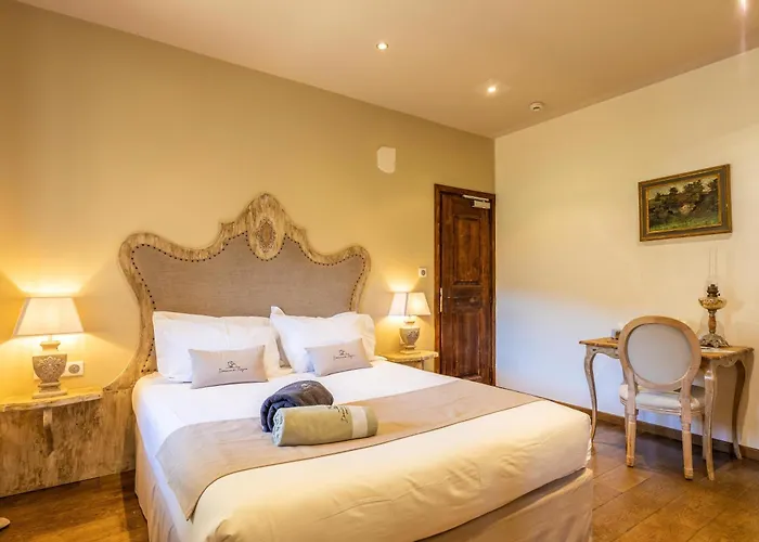 Hotel Domaine Du Reginu 4*